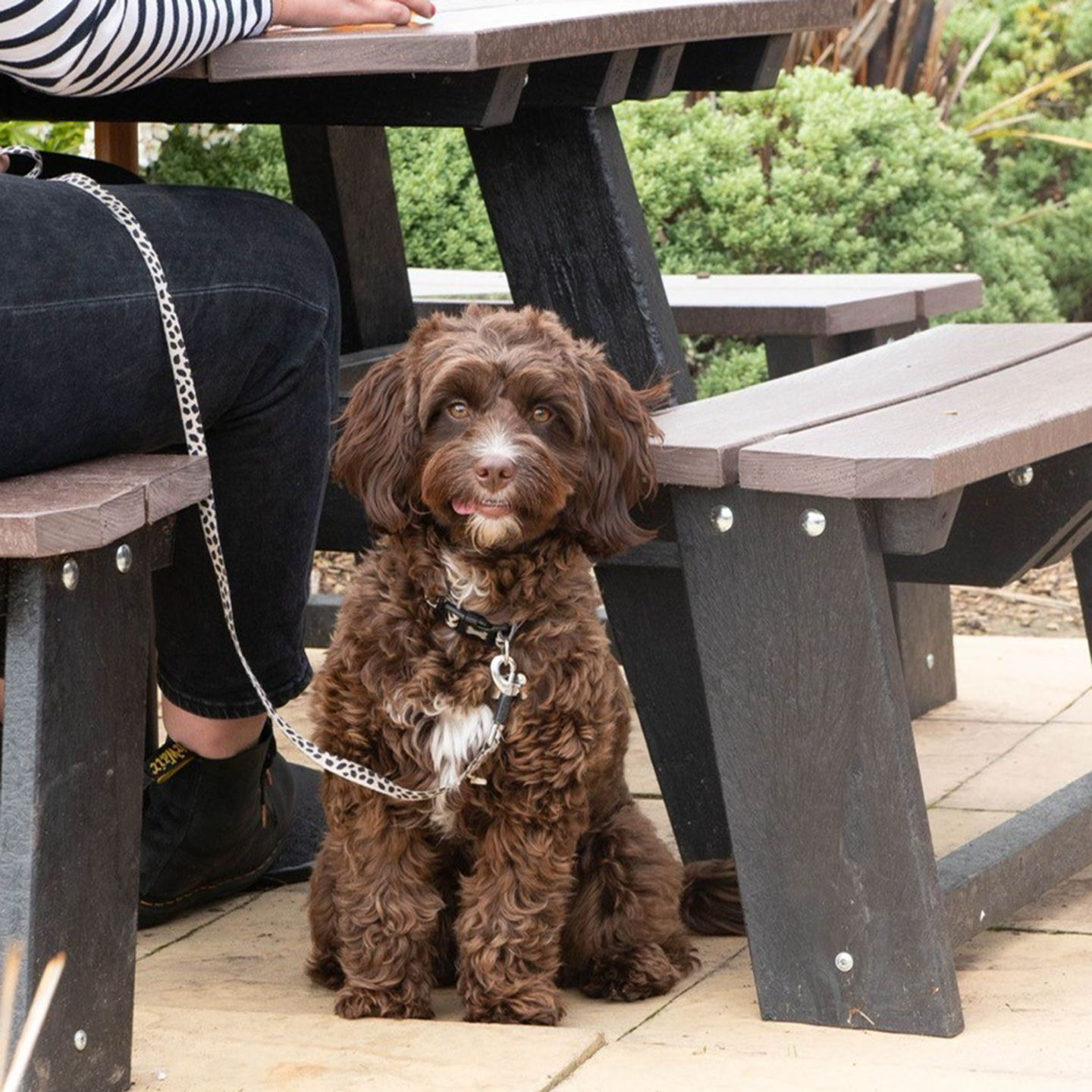 Your local dog friendly pub in Ashton under Lyne 